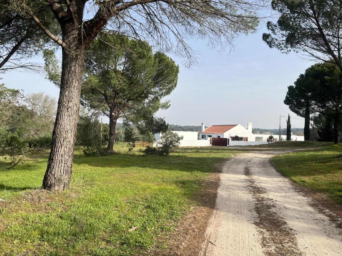 Fazenda Do Pomar By Trip2Portugal Villa Montemor-o-Novo Ngoại thất bức ảnh