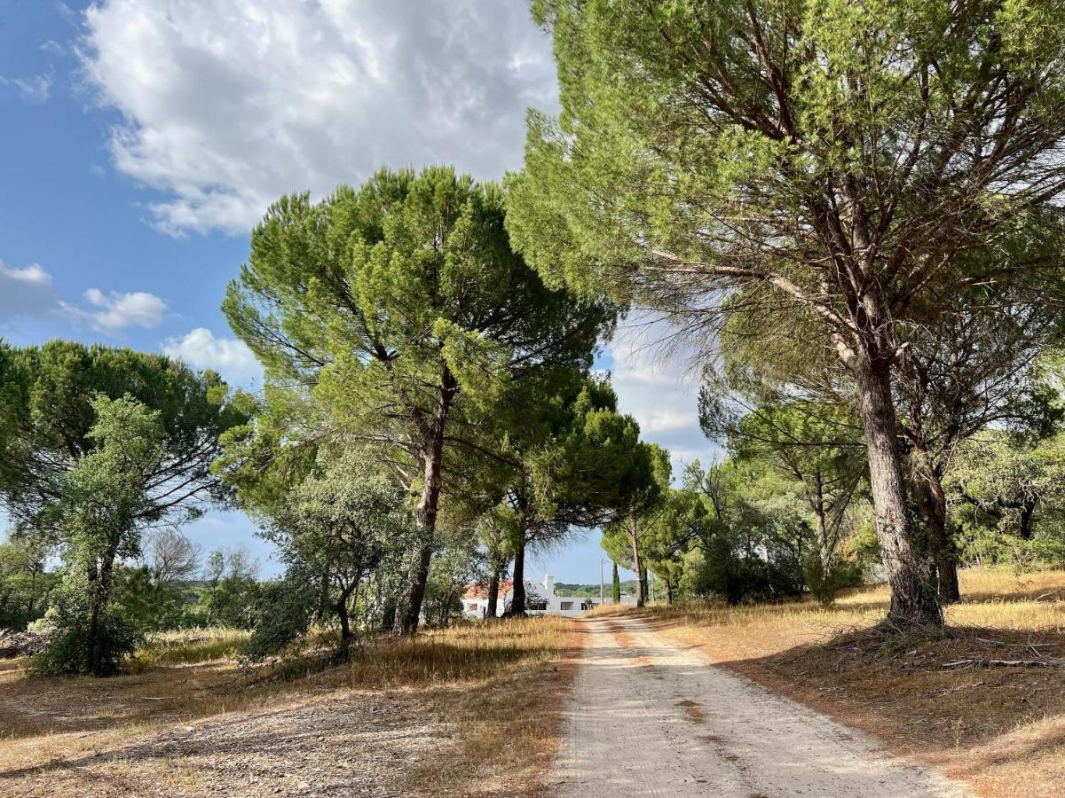 Fazenda Do Pomar By Trip2Portugal Villa Montemor-o-Novo Ngoại thất bức ảnh