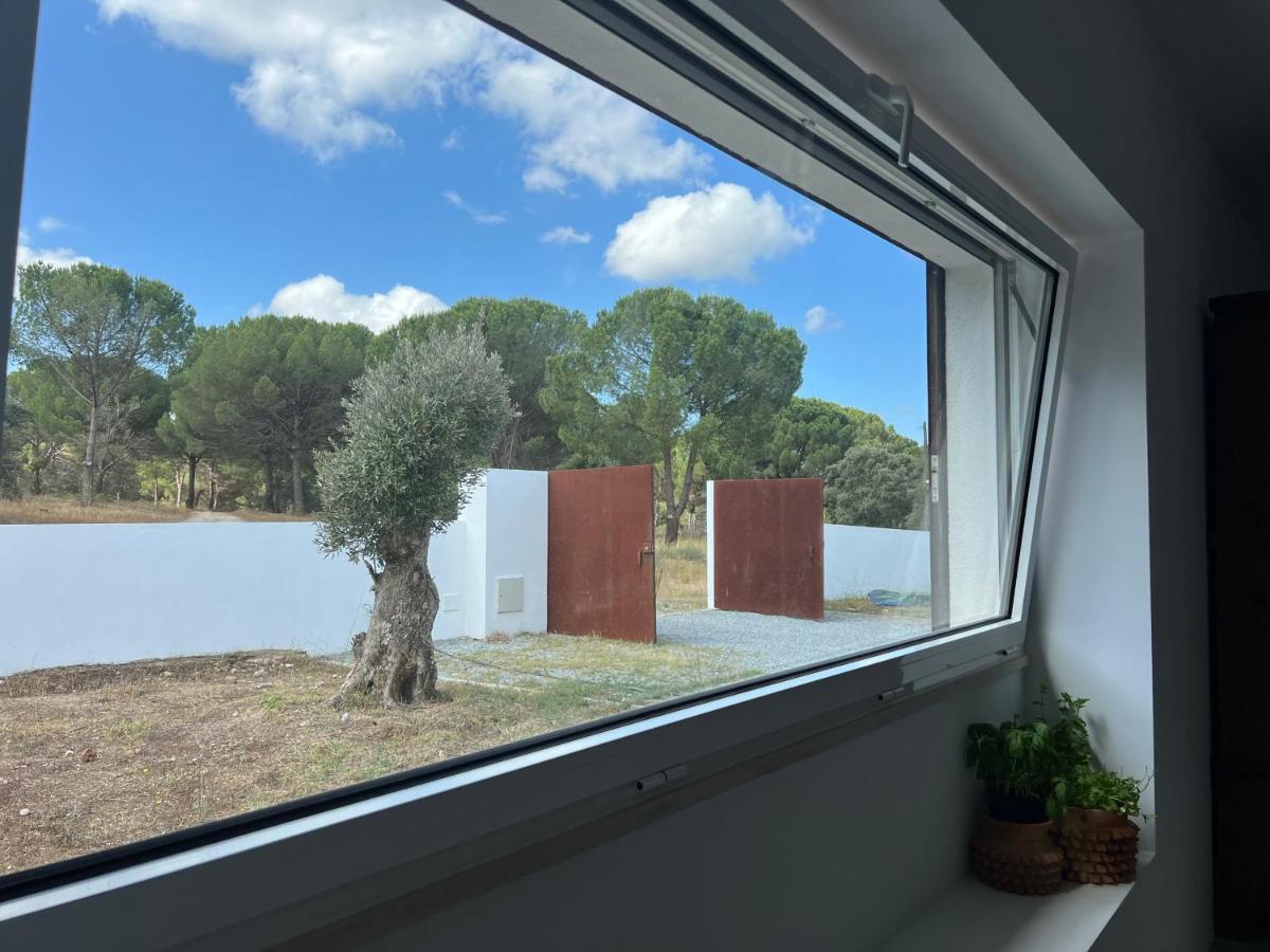 Fazenda Do Pomar By Trip2Portugal Villa Montemor-o-Novo Ngoại thất bức ảnh