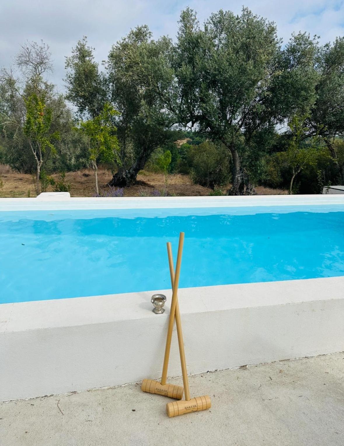 Fazenda Do Pomar By Trip2Portugal Villa Montemor-o-Novo Ngoại thất bức ảnh